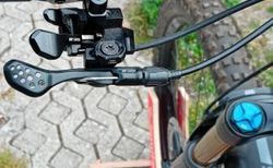 Thömus Oberrider 29 Pro L Berry XT 1x12 kaufen in Argovia #3 | velomarkt.ch