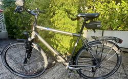 Tourenvelo CANYON GLOBE | Tolles und qualitativ hochwertiges Tourenvelo | velomarkt.ch