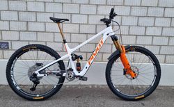 Pivot Firebird V5 29" LG Pro XT Di2, white gold | Pivot Firebird V5 29" LG Pro XT Di2, white gold | velomarkt.ch
