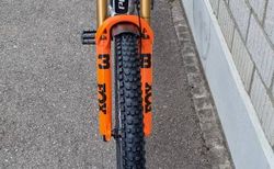 Pivot Firebird V5 29" LG Pro XT Di2, white gold kaufen in Zurigo #3 | velomarkt.ch