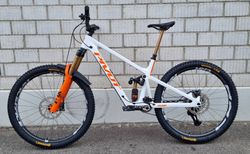 Pivot Firebird V5 29" LG Pro XT Di2, white gold kaufen in Zurigo #5 | velomarkt.ch