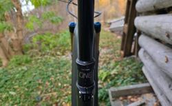 Giant Reign E+ 0 2022 | L | 750 Wh | 1'200 km | Fox Factory kaufen in Valais #5 | velomarkt.ch