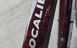 Trek Procaliber 9.7 AXS Gen 3 (Modell 2026) kaufen in Aargau #3 | velomarkt.ch