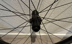 Leeze CC 35 DISC EVO WASO kaufen in Lucerna #2 | velomarkt.ch