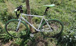Totem Singlespeed 28" – 1 Gang mit Freilauf | Fixie-Look Velo in Weiss/Grün | velomarkt.ch