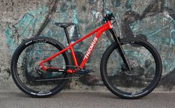Thömus Tomcat Alu 29'' XS | Mountainbike bis 160 cm | velomarkt.ch