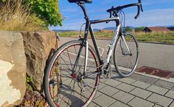 Simplon Carbon Rennvelo, Grösse XL, federleichte 6.7 kg | ultraleicht - Carbon - 2x11 Chorus | velomarkt.ch