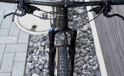 Specialized Stumpjumper Comp Carbon 29, Gr.  L kaufen in Bern #3 | velomarkt.ch