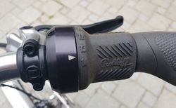 Reiserad Van Nicholas Pioneer - Rohloff kaufen in Berne #4 | velomarkt.ch