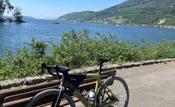 Canyon Grail CF7 (2026) kaufen in Berne #2 | velomarkt.ch