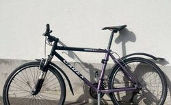 Cadex Stadtvelo kaufen in Soleure #2 | velomarkt.ch