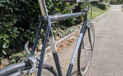 Bergamont Trackbike, Cityflitzer, Singlespeed kaufen in Thurgovie #3 | velomarkt.ch