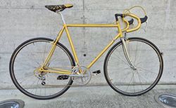 Vintage Golden Arrow Rennvelo | Vintage Golden Arrow Rennvelo | velomarkt.ch