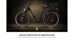 E-Bike Custom "JOHN PLAYER SPECIAL" Limited Edition Nr. 00/09 kaufen in Thurgau #2 | velomarkt.ch