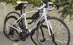 Cannondale Synapse Carbon Ultegra 2015 – Rahmengrösse 51 | Cannondale Synapse Carbon Ultegra (2015) Rg 51 | velomarkt.ch