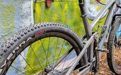 Trek Top Fuel P1 - das ultimative Downcountry-Bike kaufen in Argovie #2 | velomarkt.ch