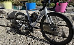 Wilier Triestina Filante SL – Top Zustand | sehr guten und gepflegten Zustand | velomarkt.ch