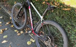 BIXS Core Elite Carbon MTB 29" kaufen in Schwyz #2 | velomarkt.ch