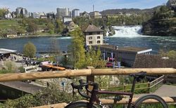 Tune Laufradsatz | Top Zustand | velomarkt.ch
