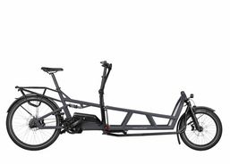 Riese & Müller Load4 75 rohloff | City bikes / Tour bike | Cargobikes | velomarkt.ch