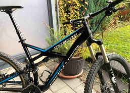 Specialized Enduro, Grösse XL | Mountainbikes | 29er - 29 Zoll Bikes | velomarkt.ch