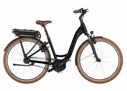 Riese & Müller Swing 4 silent | eBikes / vélos électriques | eBikes jusqu'à 25 km/h | velomarkt.ch