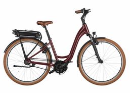 Riese & Müller Swing 4 vario | eBikes / vélos électriques | eBikes jusqu'à 25 km/h | velomarkt.ch
