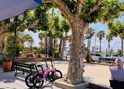 eflizzer Faltbares eBike ideal für Camper zu verkaufen | Divers vélos | Vélos pliants / vélos pliables | velomarkt.ch