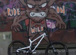 Commencal FRS signature pure white | Mountainbikes | Downhill Bikes | velomarkt.ch