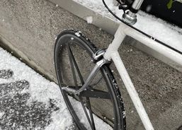 Happy Bike – City Velo / Single Speed (Unikat) | Citybikes / Tourbike | Singlespeed Bikes | velomarkt.ch