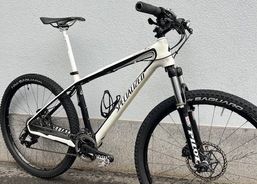 SPECIALIZED STUMPJUMPER CARBON | Mountainbikes | CC Bikes / Hardtails | velomarkt.ch