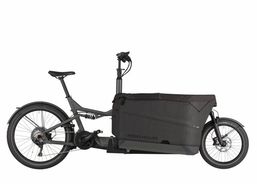 Riese & Müller Packster 2 70 CT touring | Bici da città / Bici da turismo | Biciclette da carico | velomarkt.ch
