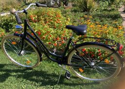 Damenfahrrad Klassiker Hollandrad!  190.- | Citybikes / Tourbike | Schnäppchen | velomarkt.ch