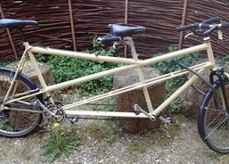 Touren-Tandem, gender-Rollen-revolutionär | Various bikes | Tandem | velomarkt.ch