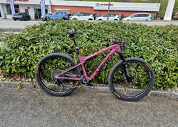 Specialized Epic S-works wc neu | Mountainbikes | 29er - 29 inch bikes | velomarkt.ch