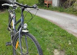 Crosswave Velo | Bici da città / Bici da turismo | Occasione | velomarkt.ch