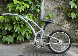 Adams Trail-a-Bike (Kid trailer) | Divers vélos | Tandem | velomarkt.ch