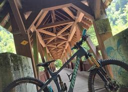 Thömus Oberrider | Mountainbikes | Bici da discesa | velomarkt.ch