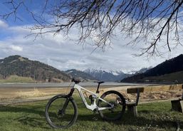 Transalpes E1 Grösse S | eBikes / Elektrovelos | eBikes bis 25 km/h | velomarkt.ch