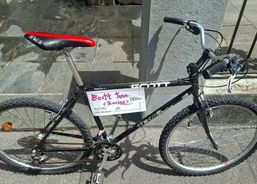 Scott | Citybikes / Tourbike | Citybikes | velomarkt.ch