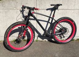 Eigenbau voll Carbon Hardtail | Mountainbikes | CC Bikes / Hardtails | velomarkt.ch