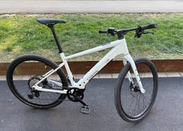 Canyon Pathlite:ONfly 8 LTD Gr L e-bike ebike | eBikes / Elektrovelos | eBikes bis 25 km/h | velomarkt.ch