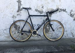 Principia REX Singlespeed | Citybikes / Tourbike | Singlespeed Bikes | velomarkt.ch