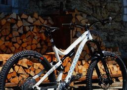 Commencal Meta AM 29 — XX Anniversary Edition — No. 66/100 — Size L | Mountainbikes | Freeride / All Mountain | velomarkt.ch