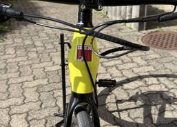 Suche neuen Besitzer, möchte wieder unterwegs sein 😎 | eBikes / Elektrovelos | eBikes bis 25 km/h | velomarkt.ch