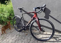 Rennvelo Scott Addict eRIDE 30 | eBikes / Elektrovelos | eBikes bis 25 km/h | velomarkt.ch