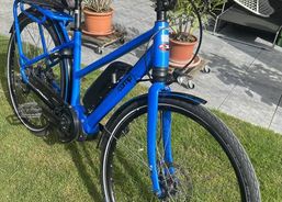 Damen E-Bike | eBikes / Elektrovelos | eBikes bis 25 km/h | velomarkt.ch