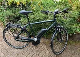 Herren E-Bike mit Bosch Active Line Plus Motor | Citybikes / Tourbike | Citybikes | velomarkt.ch