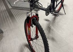 Gepflegtes Mountainbike zu verkaufen. | Mountainbikes | CC Bikes / Hardtails | velomarkt.ch