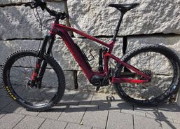 Focus Shimano Steps E8000 | eBikes / Elektrovelos | eBikes bis 25 km/h | velomarkt.ch